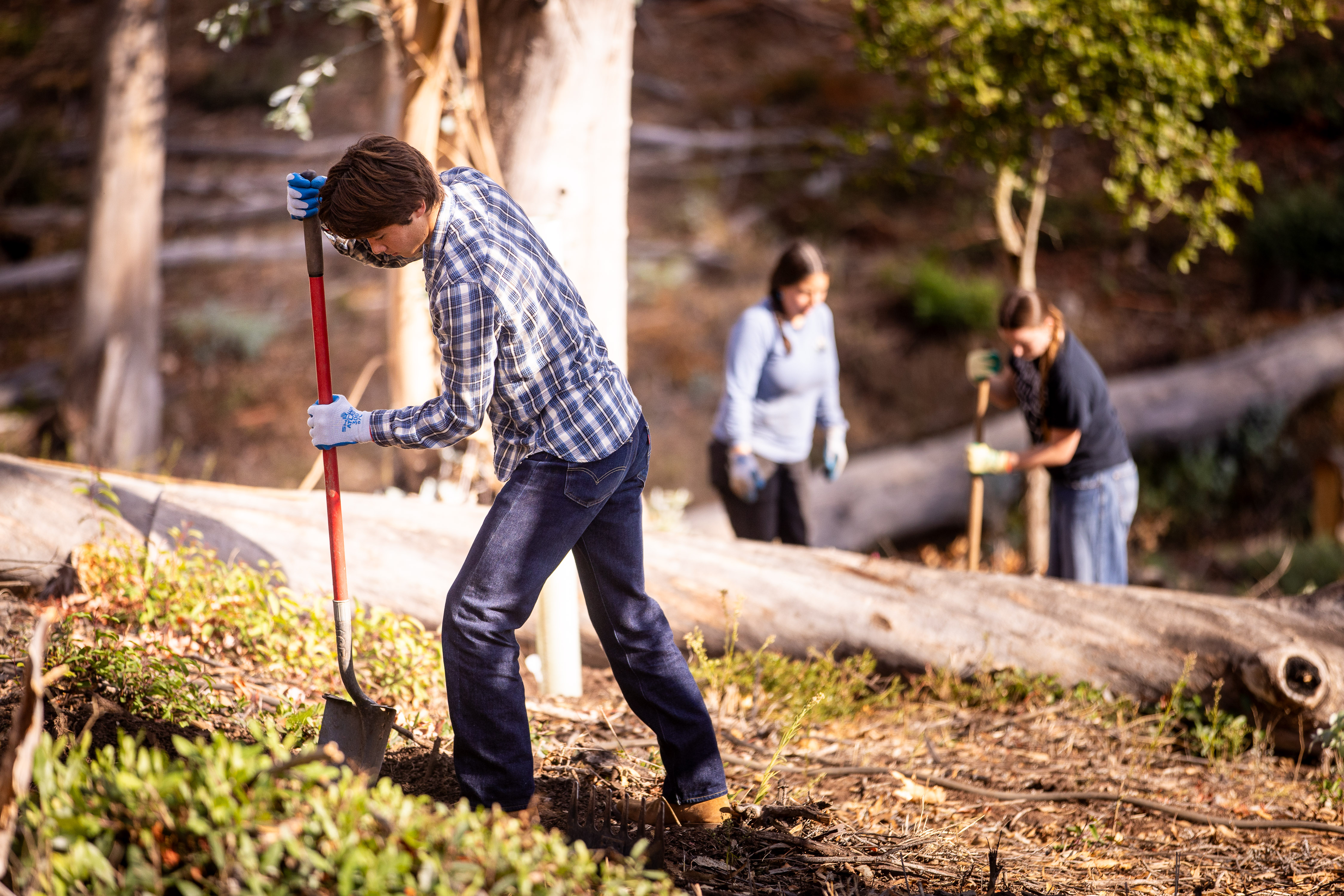 westmont student gardening