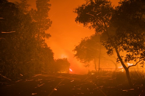 The 2008 Tea Fire at Westmont (Ray Ford photo)