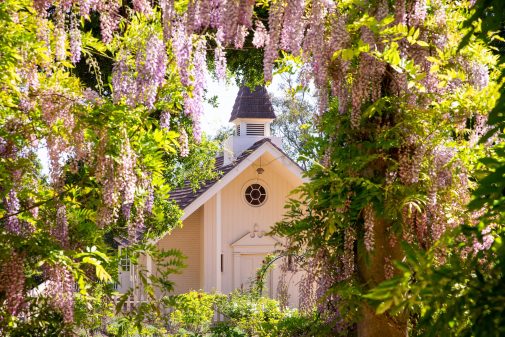 Wisteria frames Westmont's beloved Voskuyl Prayer Chapel