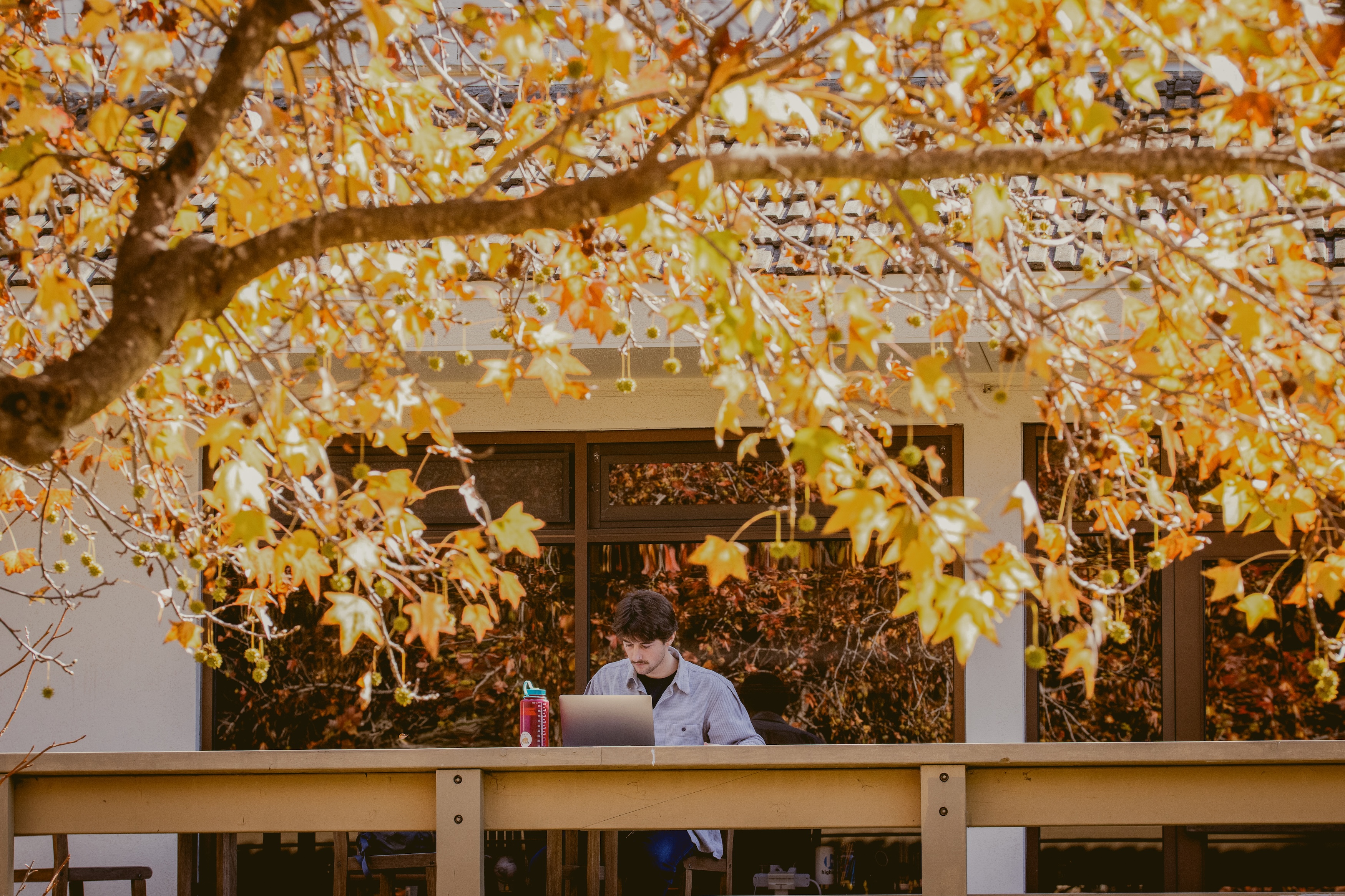 male westmont student studying fall colors